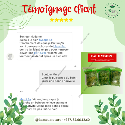 Kit  d’HYSOPE Feuilles- purification - protection -  chance - Deblocage