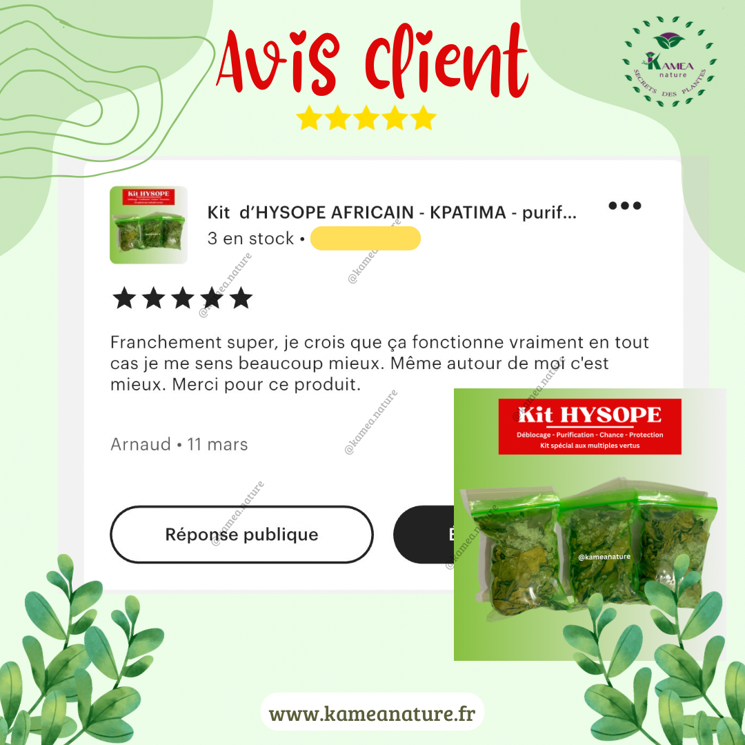 Kit  d’HYSOPE Feuilles- purification - protection -  chance - Deblocage