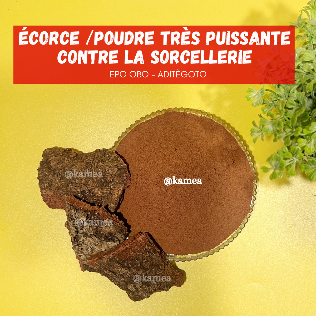 Puissante poudre ANTI-SORCELLERIE - EPO EBO - ADITÈGOTO
