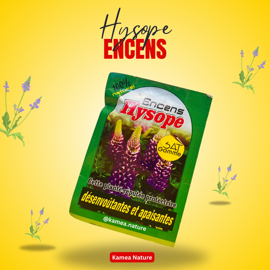 Puissant Encens HYSOPE