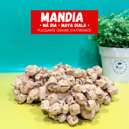 MANDIA - puissante graine d’attraction