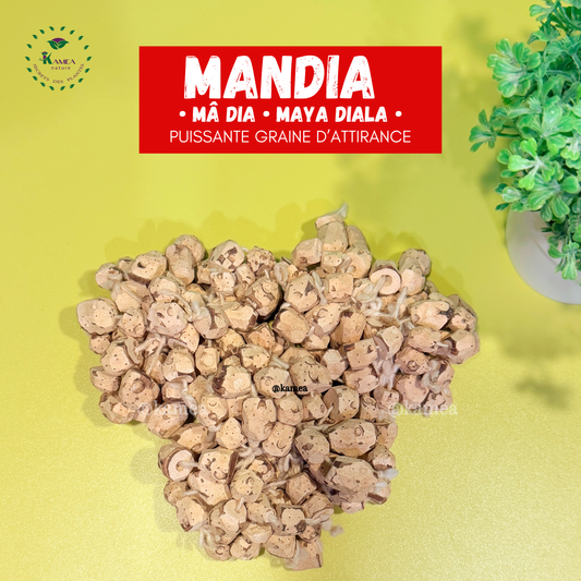 MANDIA - puissante graine d’attraction