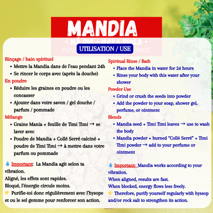 MANDIA - puissante graine d’attraction