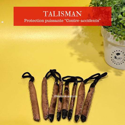 BOUCLIER DIVIN Protection spirituelle puissante - Contre accident