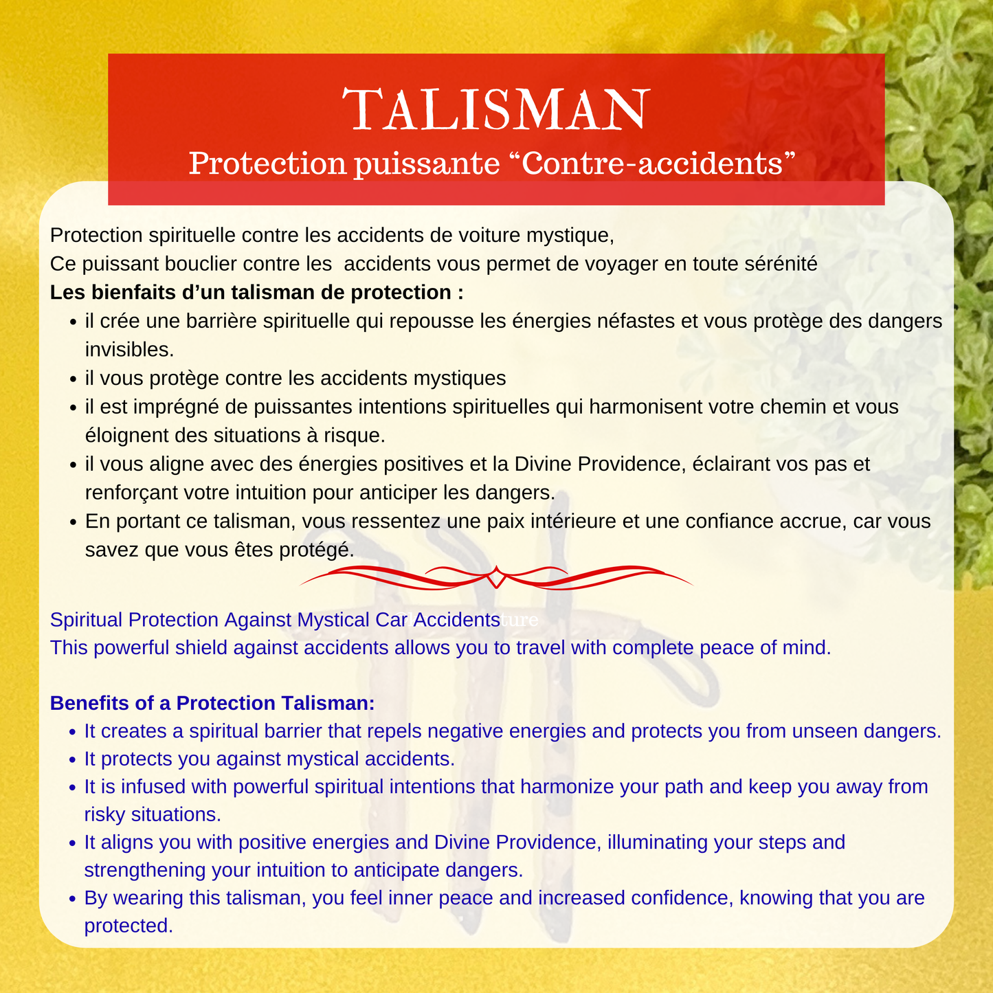 BOUCLIER DIVIN Protection spirituelle puissante - Contre accident