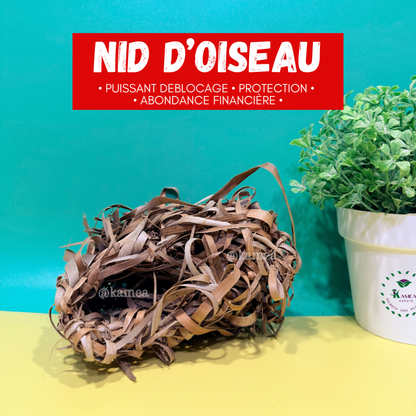 Nids d’oiseau - puissant déblocage - protection - Abondance financière