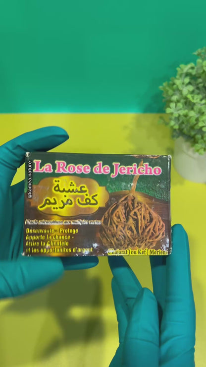 Savon ROSE DE JERICHO plante miraculeuse savon spirituel