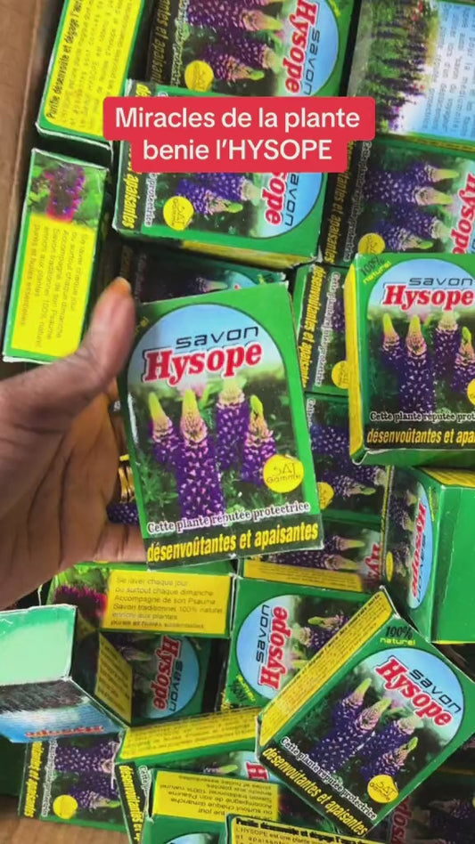 Kit  d’HYSOPE Feuilles- purification - protection -  chance - Deblocage
